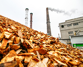 Bioenergy